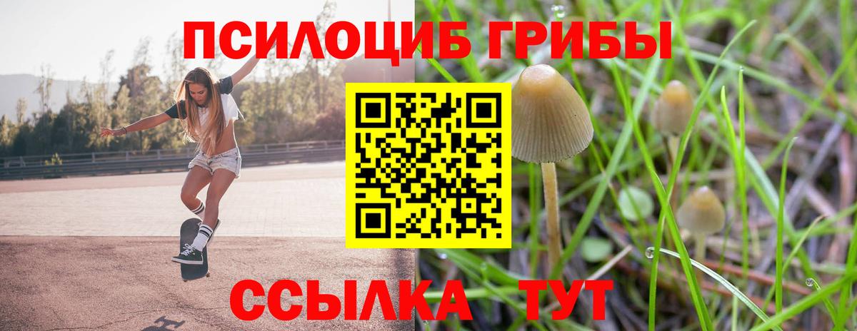 Шатура  Псилоцибиновые грибы Cubensis  Вход с VPN 