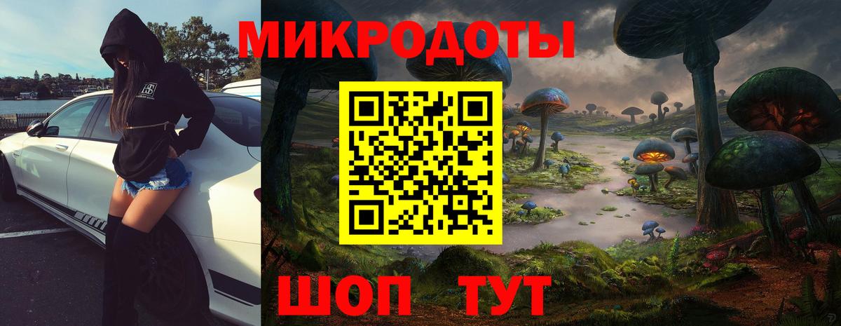 Псилоцибиновые грибы Psilocybe Шатура
